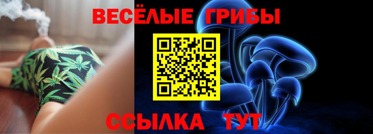 Каменск-Уральский  Галлюциногенные грибы ЛСД  цены   Галлюциногенные грибы Magic Shrooms  Вход с VPN 